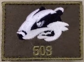 503.jpg