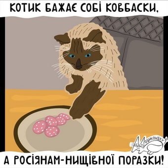 мошк_котик.jpg