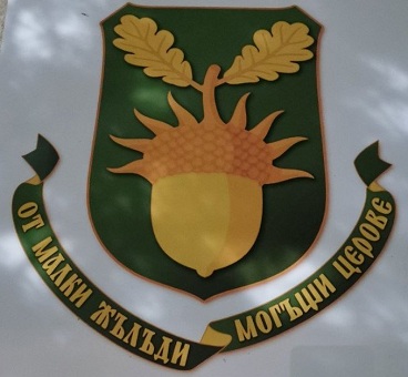 Церово-1зм.jpg