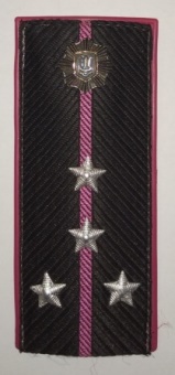 29.Капітан міліції.jpg