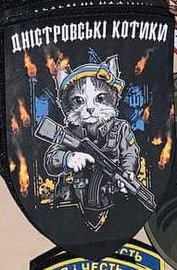 дк.jpg