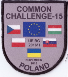 Common Challenge-2015 2+.jpg