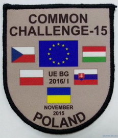 Common Challenge-2015 2.jpg