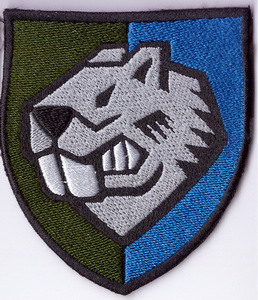 808 опомп 1 1+.jpg