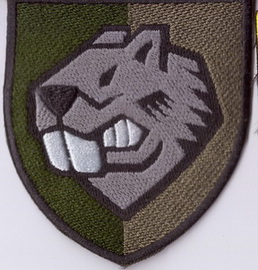 808 опомп 1 2+.jpg