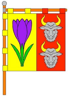 P1B_TUR.jpg