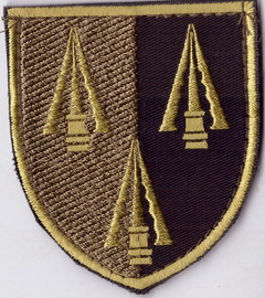 ЦЗСД+.jpg