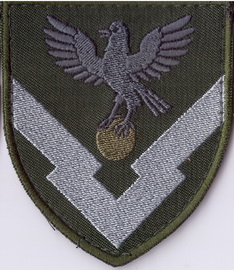 136 ЦЗРБ 2+.jpg