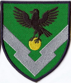 136 ЦЗРБ 1+.jpg