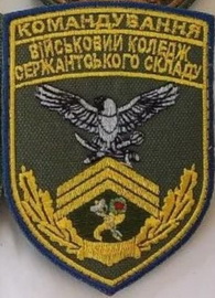 вк717-V.jpg