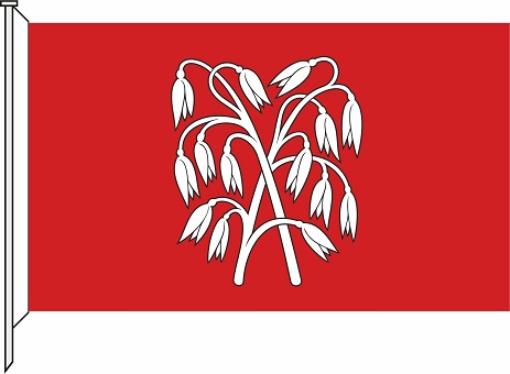 Newly created coat of arms, flags and seal of Avižieniai-20.04.23-6зм.jpg