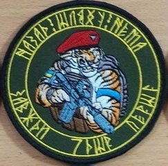 7.jpg