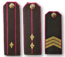 20-ДКВС.jpg