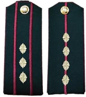 21-ДКВС.jpg