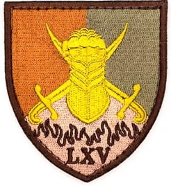 65.jpg