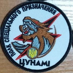 из-559.jpg