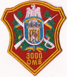 3000 омб 2+.jpg