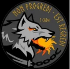 38 обрмп садн.png