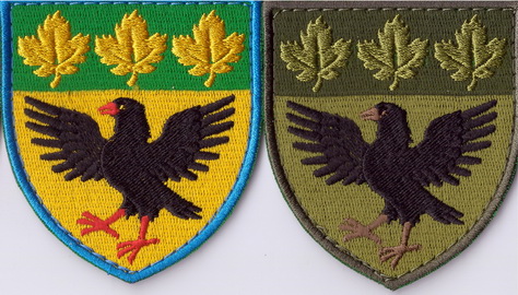 65 омбр+.jpg