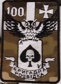100.jpg
