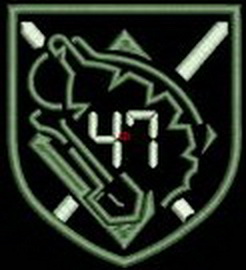 47.jpg