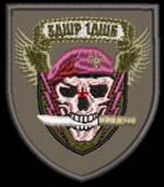 1 дшб 3 дшр.jpg