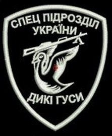 ДГ сп.jpg
