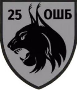 25ошб.jpg