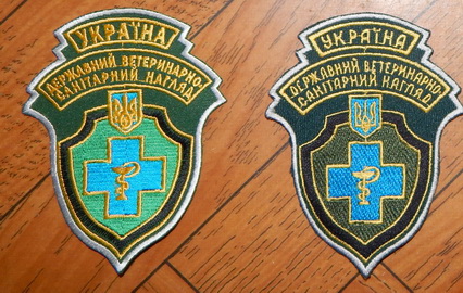 ДВСН 2+.jpg