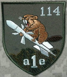 114_1 ае 11.jpg