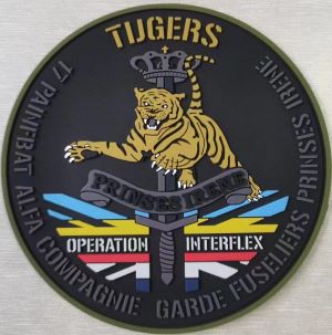 military-pvc-or-rubber-badges-custom-made.jpg