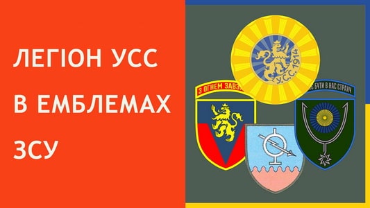 YC_42.jpg