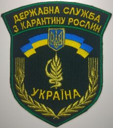 photo_2024-10-25_20-54-33 (3).jpg