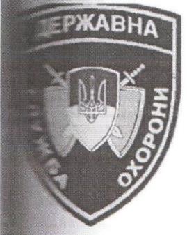 Нарукавний знак працівників ДСО.jpg