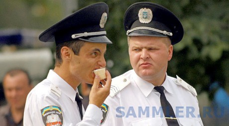 Кобра (2).jpg