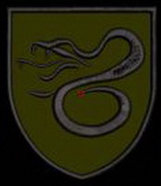 х82880.jpg