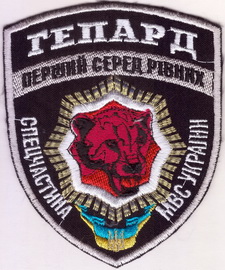 3029 11+.jpg
