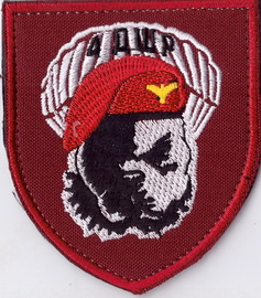 4 дшр+.jpg