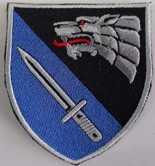 shevron_sso_rejndzher_6_lipuchka (1).jpg