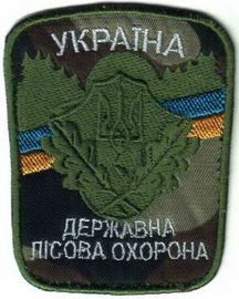 ДЛО 2.jpg