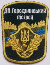 ЛГ Городня.jpg