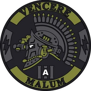 vencere malum.jpg
