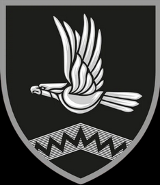 10 ошб.png