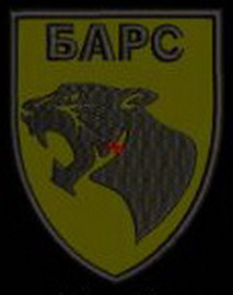 Барс.jpg