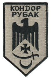 3027_Кондор 3.png