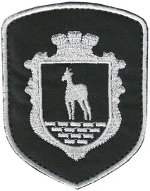 Сарни 2.png