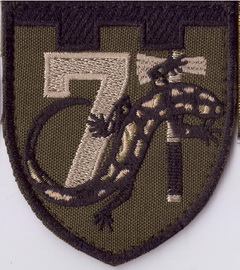 77+.jpg