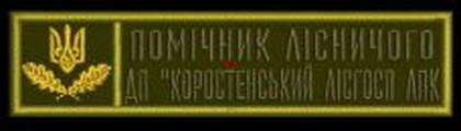 ЛГ Коростень ПЛг.jpg
