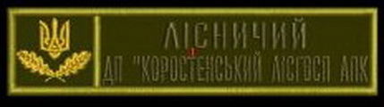 ЛГ Коростень Лг.jpg