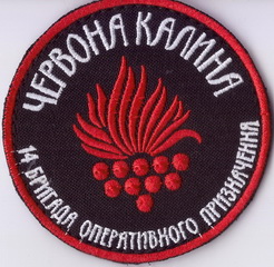 3028 14+.jpg
